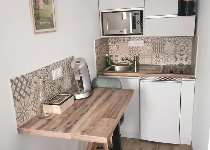 Appartement Aux Portes Du Puy Dufou Les Herbiers