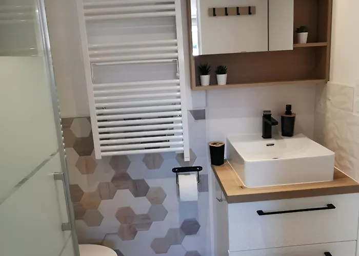 Aux Portes Du Puy Dufou Appartement Les Herbiers