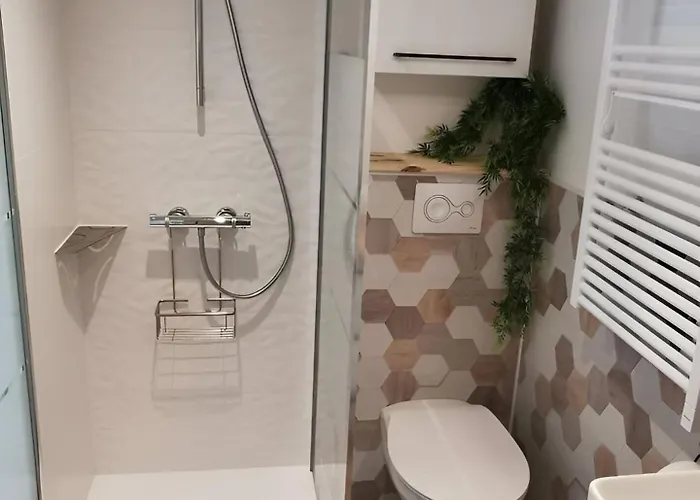 Appartement Aux Portes Du Puy Dufou *