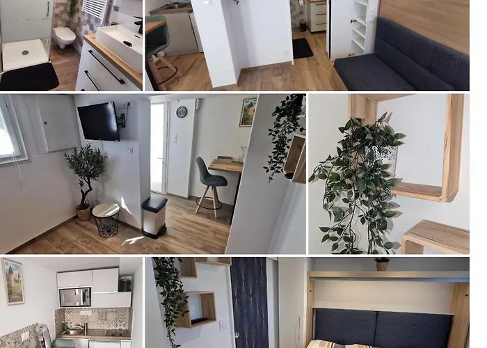 Appartement Aux Portes Du Puy Dufou Les Herbiers